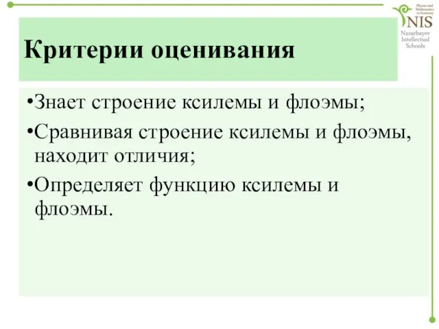 Критерии оценивания Знает строение ксилемы и флоэмы; Сравнивая строение ксилемы и флоэмы,