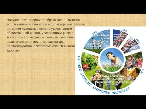 Актуальность здорового образа жизни вызвана возрастанием и изменением характера нагрузок на организм