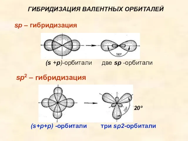 sp2 – гибридизация ГИБРИДИЗАЦИЯ ВАЛЕНТНЫХ ОРБИТАЛЕЙ sp – гибридизация 120º (s +р)-орбитали