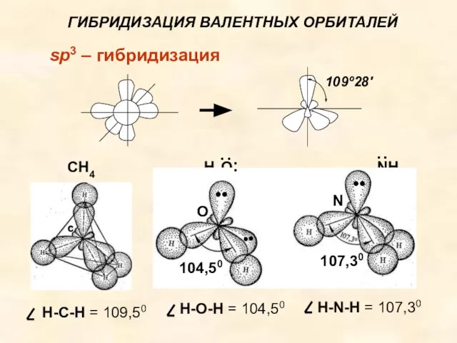 ГИБРИДИЗАЦИЯ ВАЛЕНТНЫХ ОРБИТАЛЕЙ sp3 – гибридизация CН4 Н2О NН3 О N C