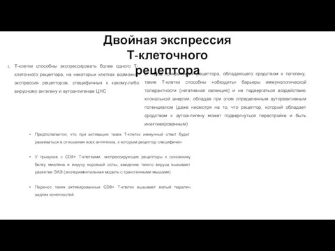 Двойная экспрессия Т-клеточного рецептора Т-клетки способны экспрессировать более одного Т-клеточного рецептора, на