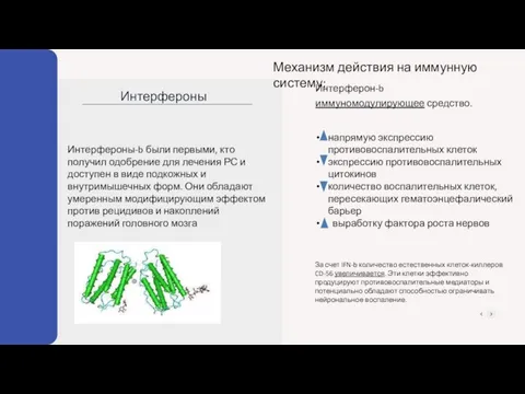 Интерфероны-b были первыми, кто получил одобрение для лечения РС и доступен в