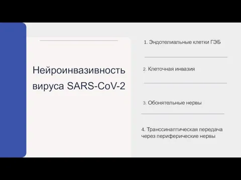 Нейроинвазивность вируса SARS-CoV-2