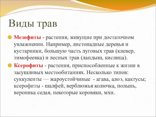 Виды трав Мезофиты - растения, живущие при достаточном увлажнении. Например, листопадные деревья