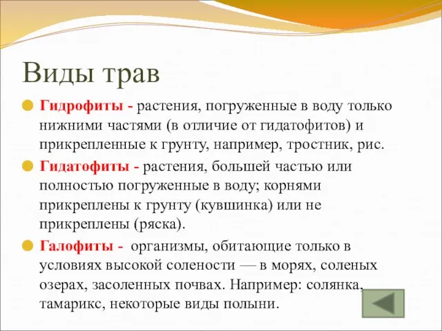 Виды трав Гидрофиты - растения, погруженные в воду только нижними частями (в