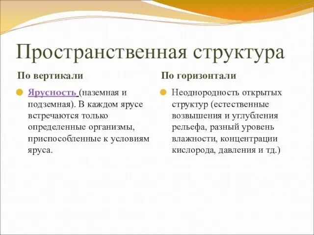 Пространственная структура По вертикали По горизонтали Ярусность (наземная и подземная). В каждом