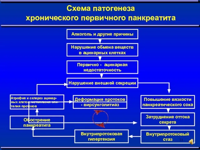 Схема патогенеза хронического первичного панкреатита