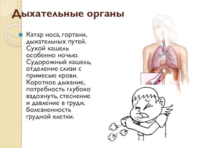 Дыхательные органы Катар носа, гортани, дыхательных путей. Сухой кашель особенно ночью. Судорожный