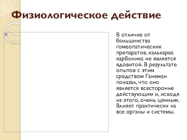 Физиологическое действие В отличие от большинства гомеопатических препаратов, калькареа карбоника не является