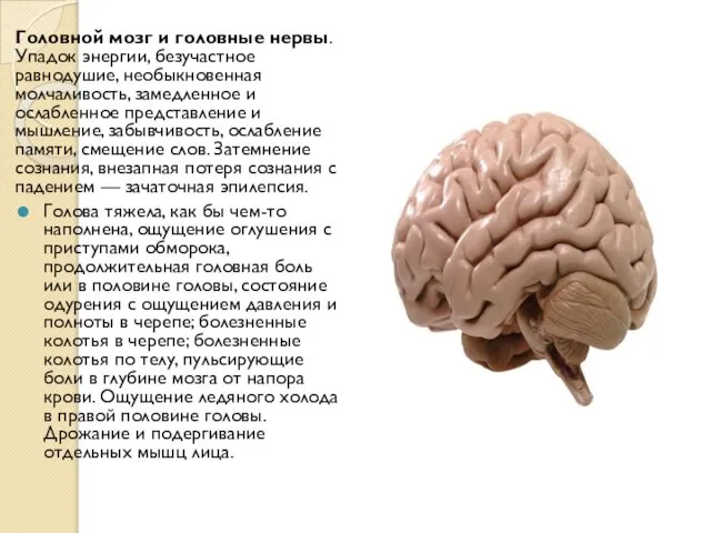 Головной мозг и головные нервы. Упадок энергии, безучастное равнодушие, необыкновенная молчаливость, замедленное