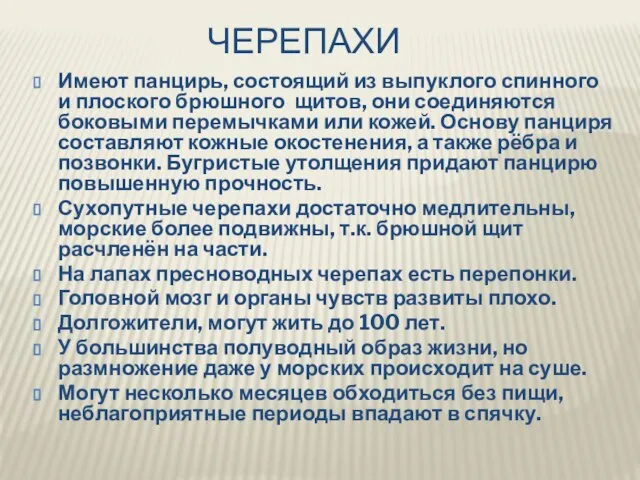 ЧЕРЕПАХИ Имеют панцирь, состоящий из выпуклого спинного и плоского брюшного щитов, они