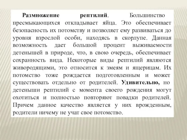 Размножение рептилий. Большинство пресмыкающихся откладывает яйца. Это обеспечивает безопасность их потомству и