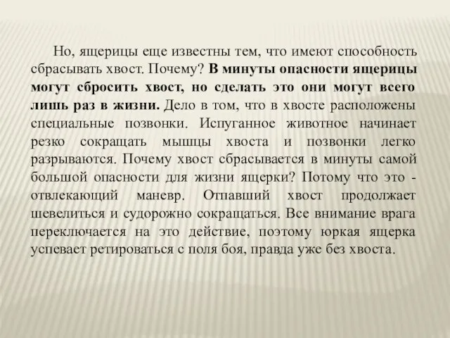 Но, ящерицы еще известны тем, что имеют способность сбрасывать хвост. Почему? В