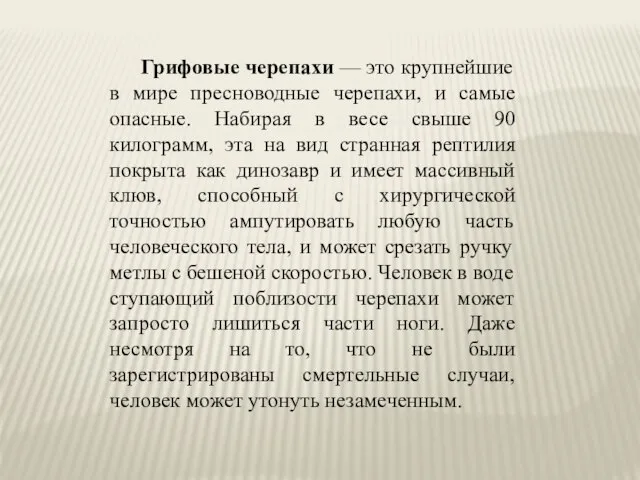 Грифовые черепахи — это крупнейшие в мире пресноводные черепахи, и самые опасные.