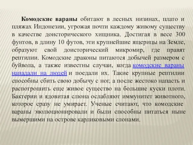 Комодские вараны обитают в лесных низинах, плато и пляжах Индонезии, угрожая почти