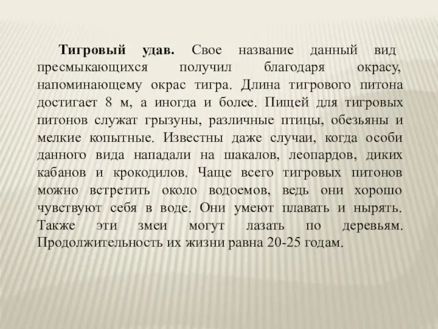 Тигровый удав. Свое название данный вид пресмыкающихся получил благодаря окрасу, напоминающему окрас