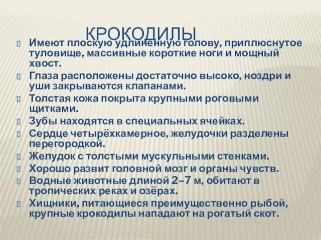 КРОКОДИЛЫ Имеют плоскую удлиненную голову, приплюснутое туловище, массивные короткие ноги и мощный