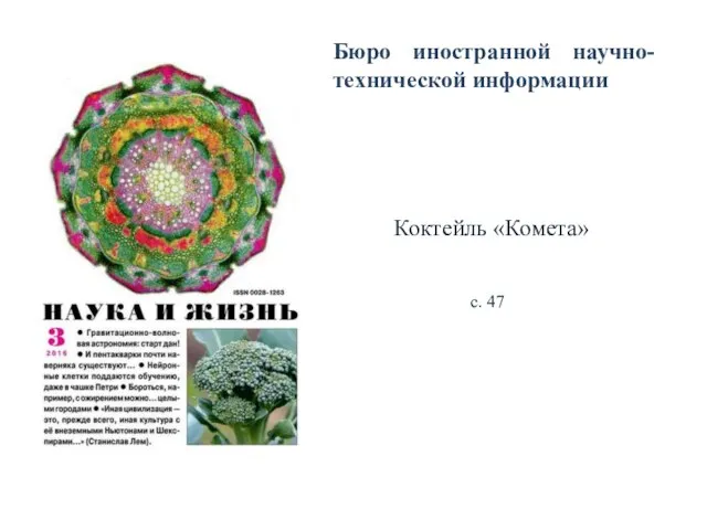 Бюро иностранной научно-технической информации Коктейль «Комета» с. 47