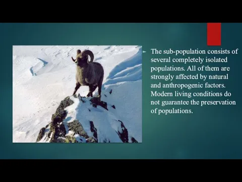The sub-population consists of several completely isolated populations. All of them are
