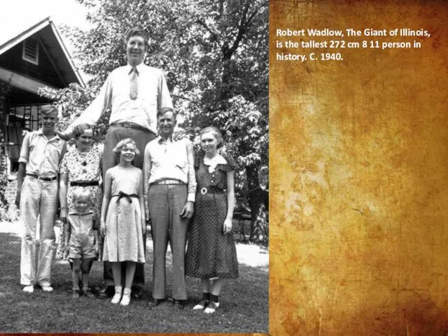 Robert Wadlow, The Giant of Illinois, is the tallest 272 cm 8