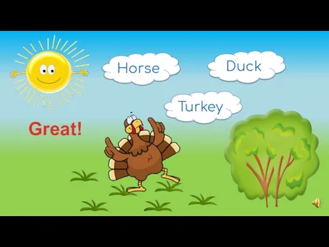 Duck Turkey Horse Great!