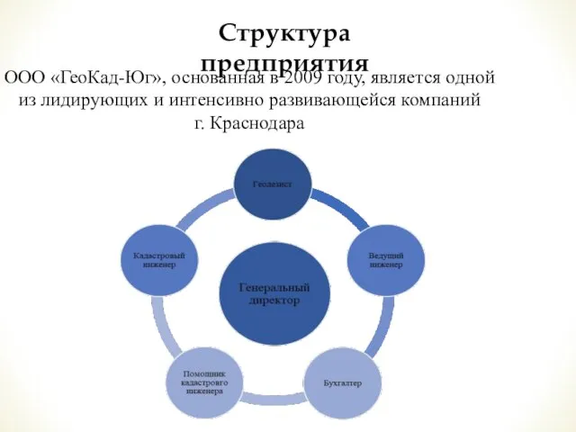 Структура предприятия ООО «ГеоКад-Юг», основанная в 2009 году, является одной из лидирующих