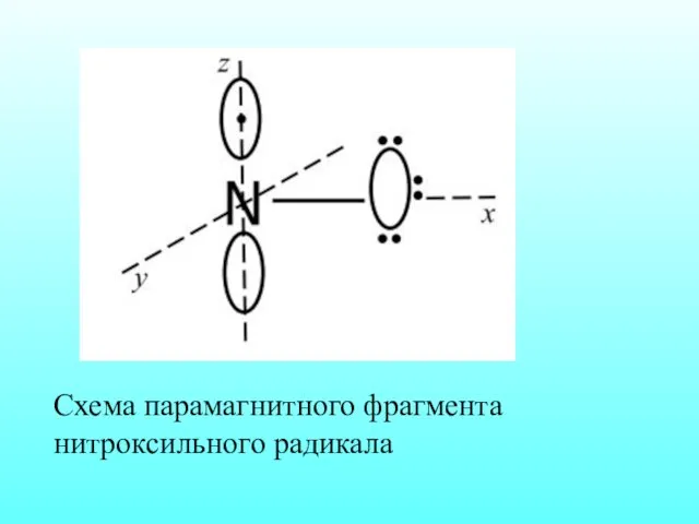 Схема парамагнитного фрагмента нитроксильного радикала