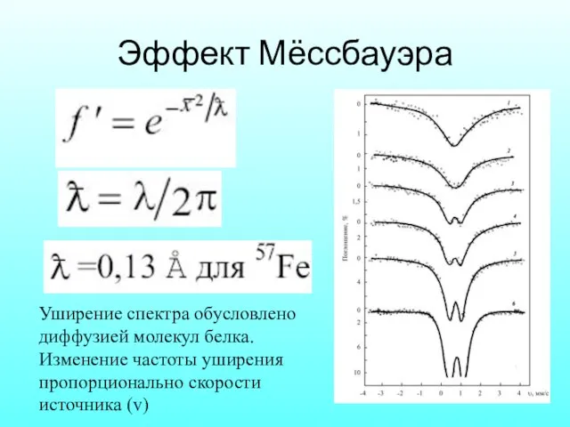 Эффект Мёссбауэра Уширение спектра обусловлено диффузией молекул белка. Изменение частоты уширения пропорционально скорости источника (v)