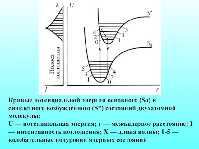 Кривые потенциальной энергии основного (So) и синглетного возбужденного (S*) состояний двухатомной молекулы: