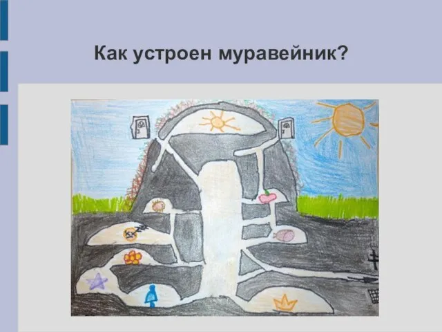 Как устроен муравейник? .