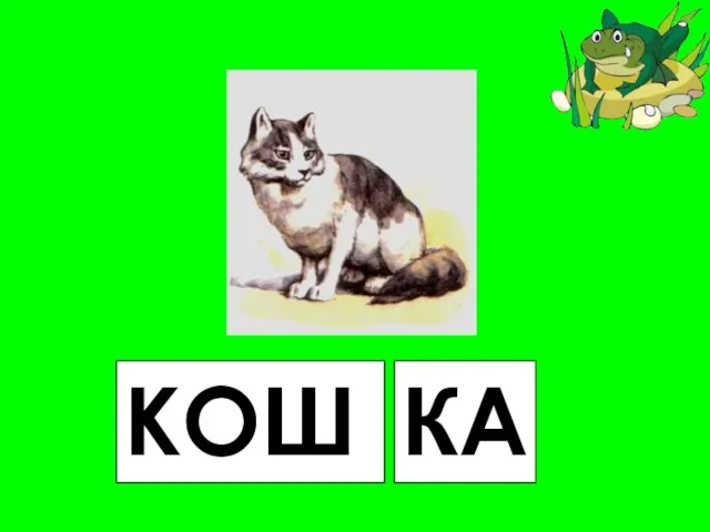 КОШ КА