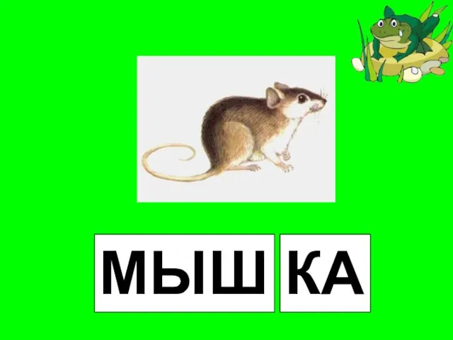 МЫШ КА