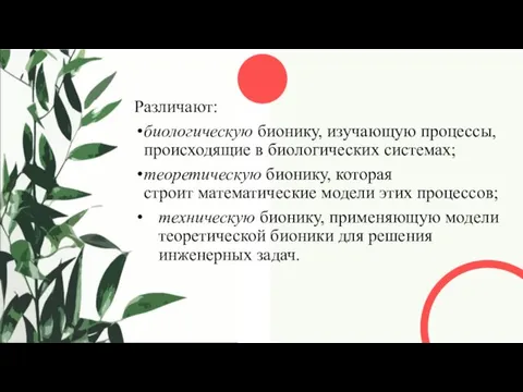 Различают: биологическую бионику, изучающую процессы, происходящие в биологических системах; теоретическую бионику, которая