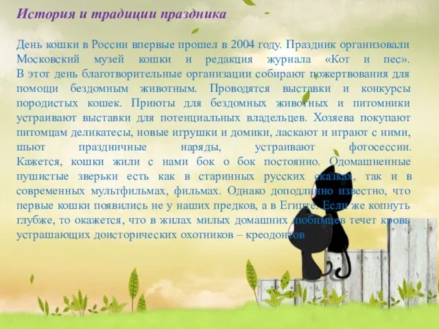 История и традиции праздника День кошки в России впервые прошел в 2004