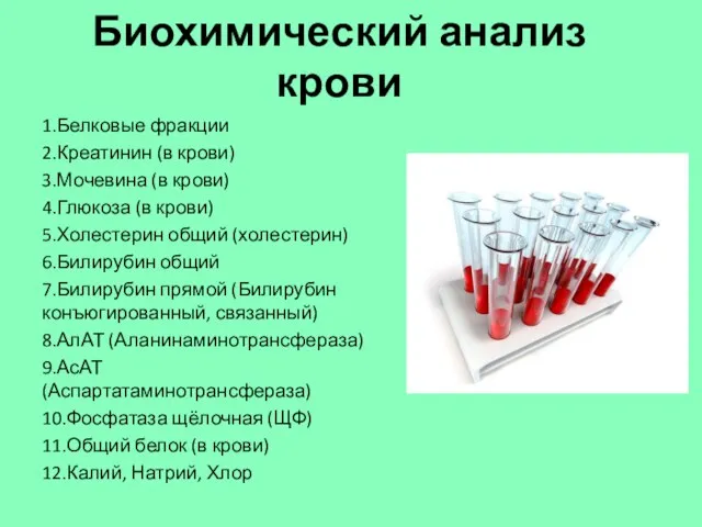 Биохимический анализ крови 1.Белковые фракции 2.Креатинин (в крови) 3.Мочевина (в крови) 4.Глюкоза