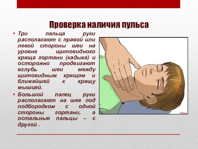 Проверка наличия пульса Три пальца руки располагают с правой или левой стороны