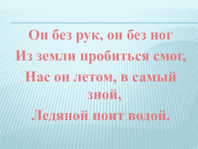 Он без рук, он без ног Из земли пробиться смог, Нас он