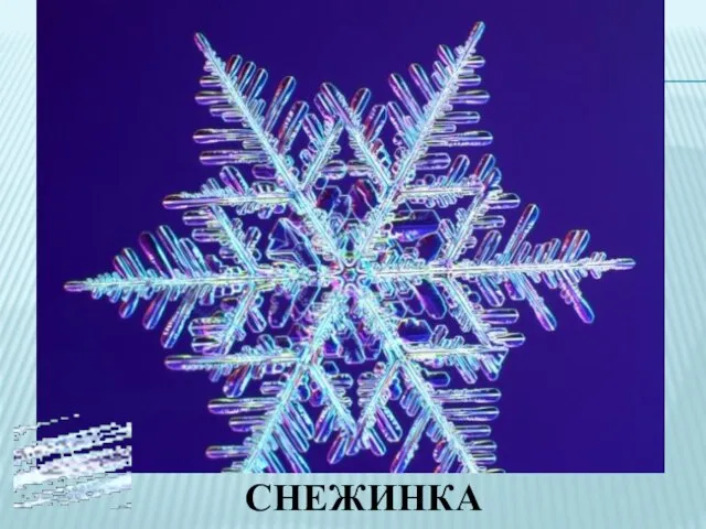 СНЕЖИНКА