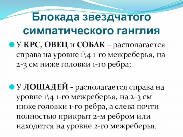 Блокада звездчатого симпатического ганглия У КРС, ОВЕЦ и СОБАК – располагается справа