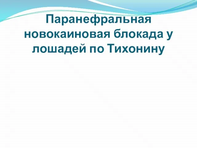 Паранефральная новокаиновая блокада у лошадей по Тихонину