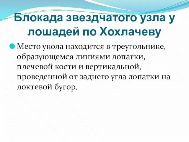 Блокада звездчатого узла у лошадей по Хохлачеву Место укола находится в треугольнике,