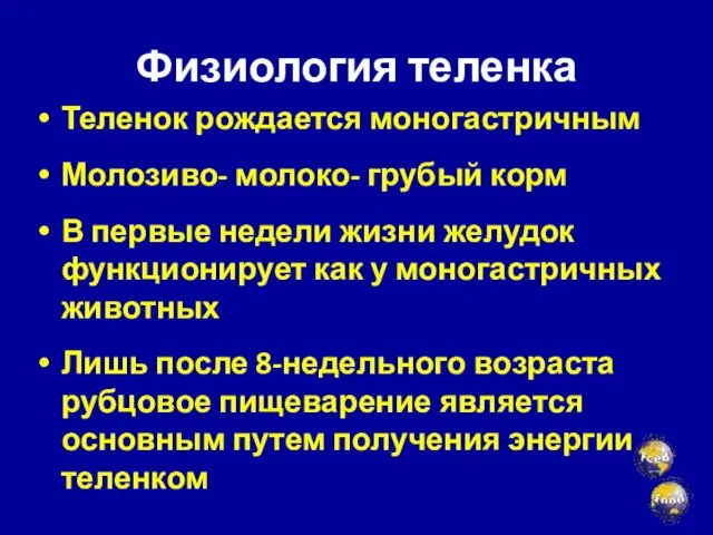 Физиология теленка Теленок рождается моногастричным Молозиво- молоко- грубый корм В первые недели