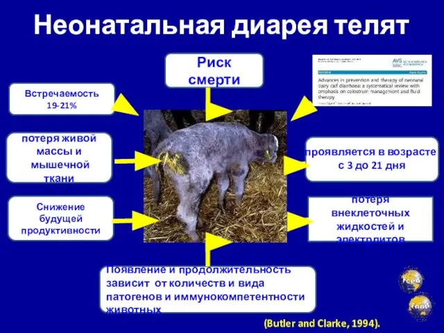 Неонатальная диарея телят (Butler and Clarke, 1994). проявляется в возрасте с 3