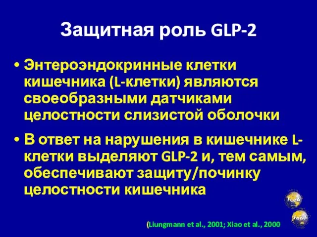 Защитная роль GLP-2 Энтероэндокринные клетки кишечника (L-клетки) являются своеобразными датчиками целостности слизистой