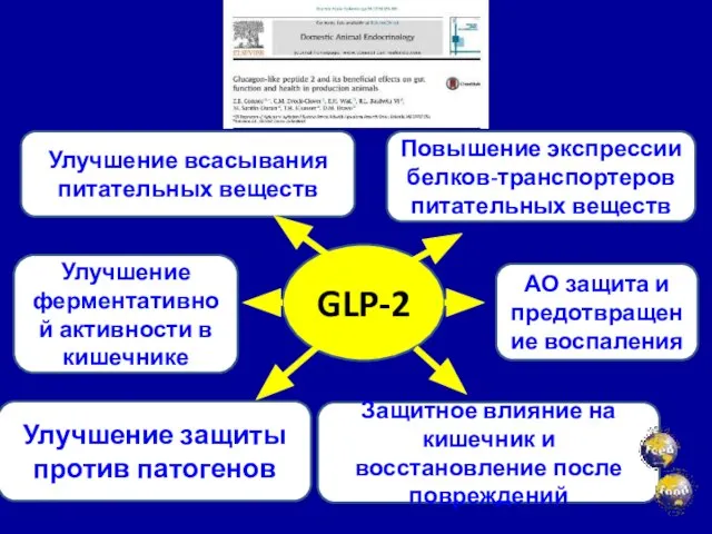 Улучшение защиты против патогенов Улучшение всасывания питательных веществ АО защита и предотвращение