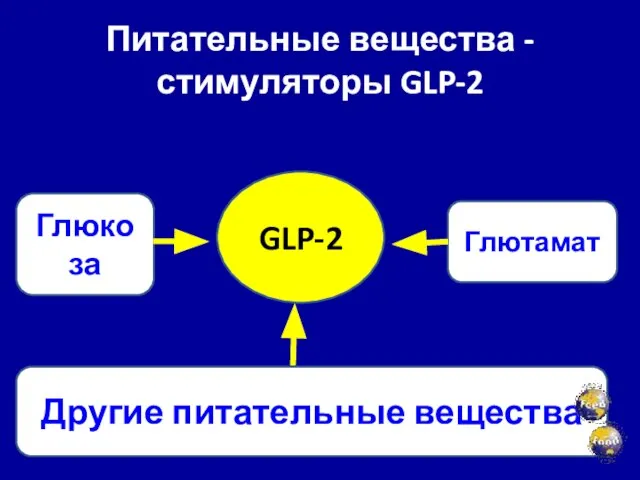 Другие питательные вещества Глюкоза Глютамат GLP-2 Питательные вещества -стимуляторы GLP-2