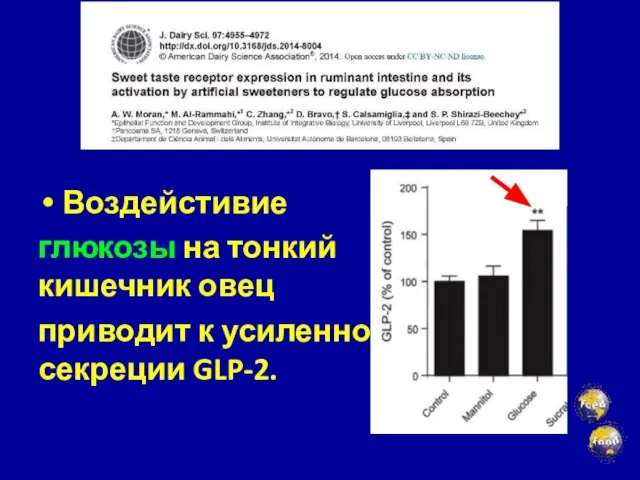 Воздейстивие глюкозы на тонкий кишечник овец приводит к усиленной секреции GLP-2.