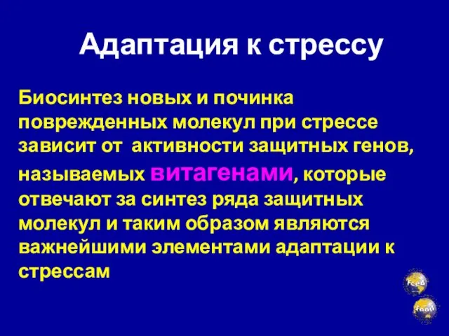 Адаптация к стрессу Биосинтез новых и починка поврежденных молекул при стрессе зависит