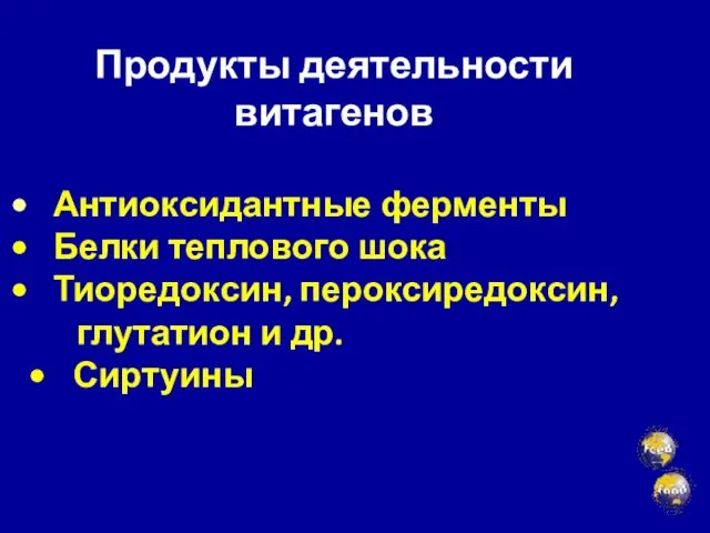 Продукты деятельности витагенов Антиоксидантные ферменты Белки теплового шока Тиоредоксин, пероксиредоксин, глутатион и др. Сиртуины