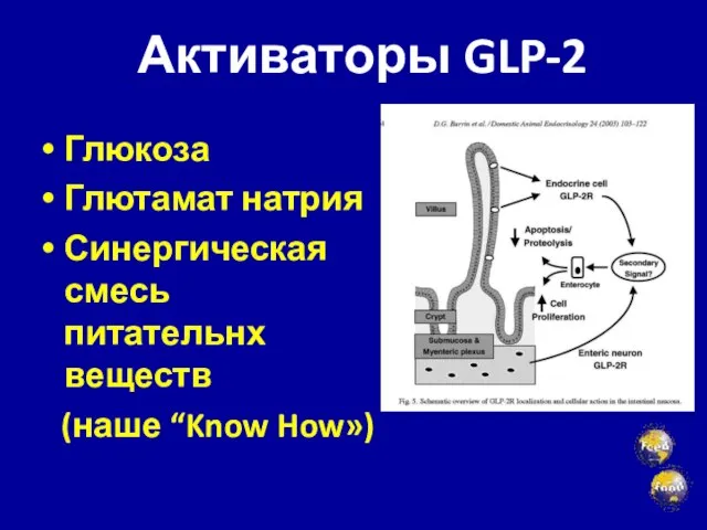 Глюкоза Глютамат натрия Синергическая смесь питательнх веществ (наше “Know How») Активаторы GLP-2